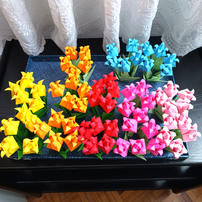 Jardín de tulipanes loading=